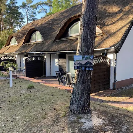 Reet Am Mit Hund Holiday home