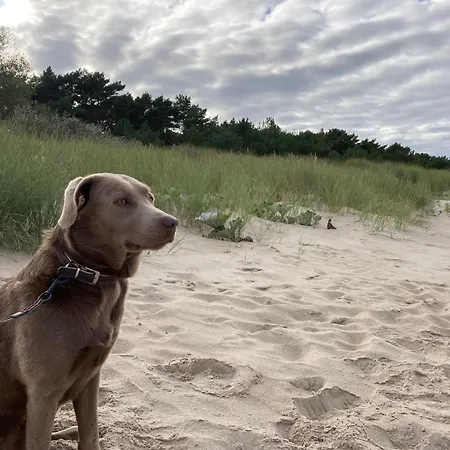 Inselglueck Unter Reet 100m Zum - Garten & Privatterrasse - Hund Willkommen Prázdninový dům