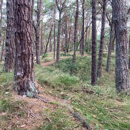 Inselglueck Unter Reet 100m Zum - Garten & Privatterrasse - Hund Willkommen Karlshagen