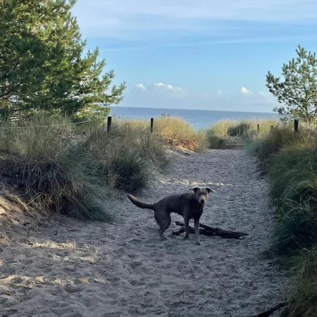 Reet Am Mit Hund *