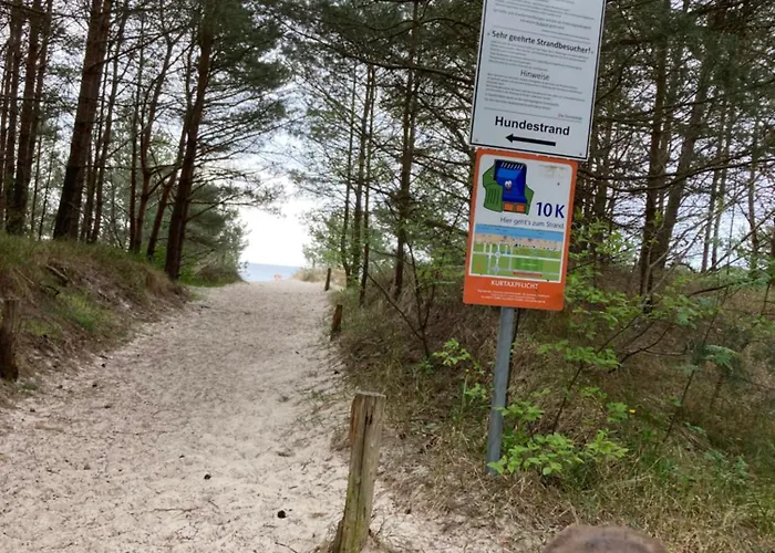 Tatil Evi Inselglueck Unter Reet 100m Zum - Garten & Privatterrasse - Hund Willkommen Karlshagen