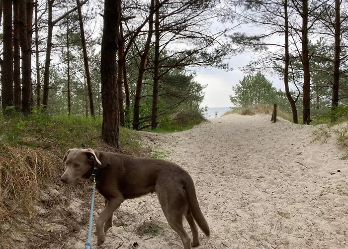 Inselglueck Unter Reet 100m Zum - Garten & Privatterrasse - Hund Willkommen Karlshagen