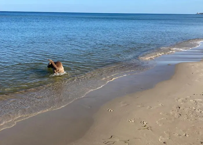 Tatil Evi Inselglueck Unter Reet 100m Zum - Garten & Privatterrasse - Hund Willkommen *