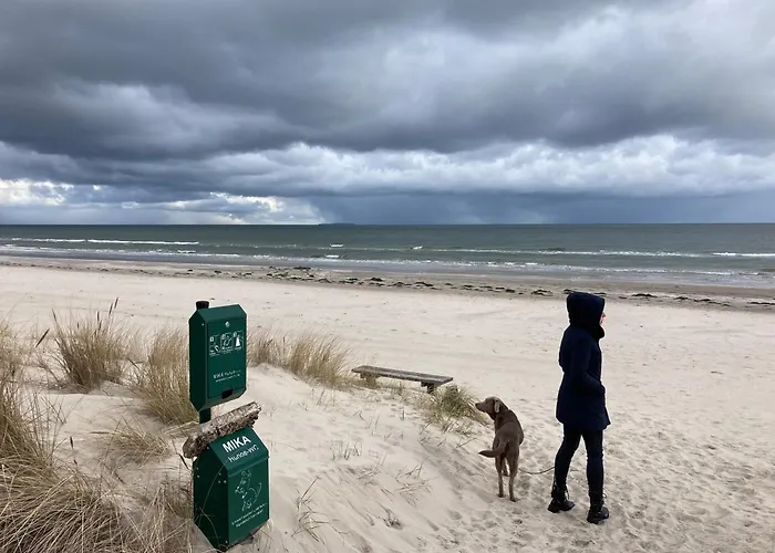 Tatil Evi Inselglueck Unter Reet 100m Zum - Garten & Privatterrasse - Hund Willkommen Karlshagen