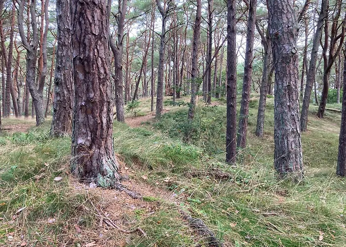Inselglueck Unter Reet 100m Zum - Garten & Privatterrasse - Hund Willkommen Karlshagen