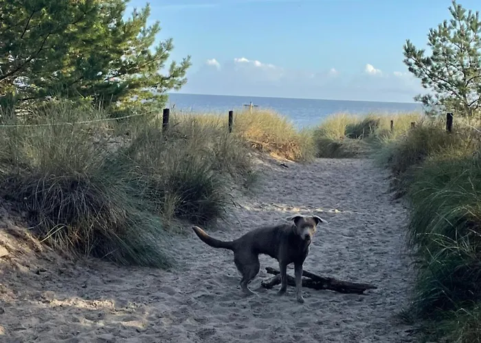 Inselglueck Unter Reet 100m Zum - Garten & Privatterrasse - Hund Willkommen *